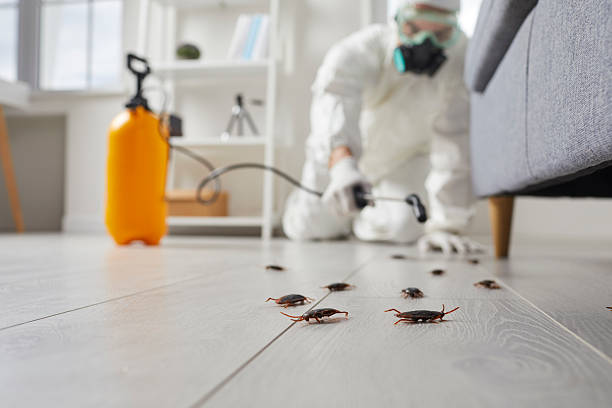Trusted Rodent Control service in Santa Rosa, TX - Nex Pest Control
